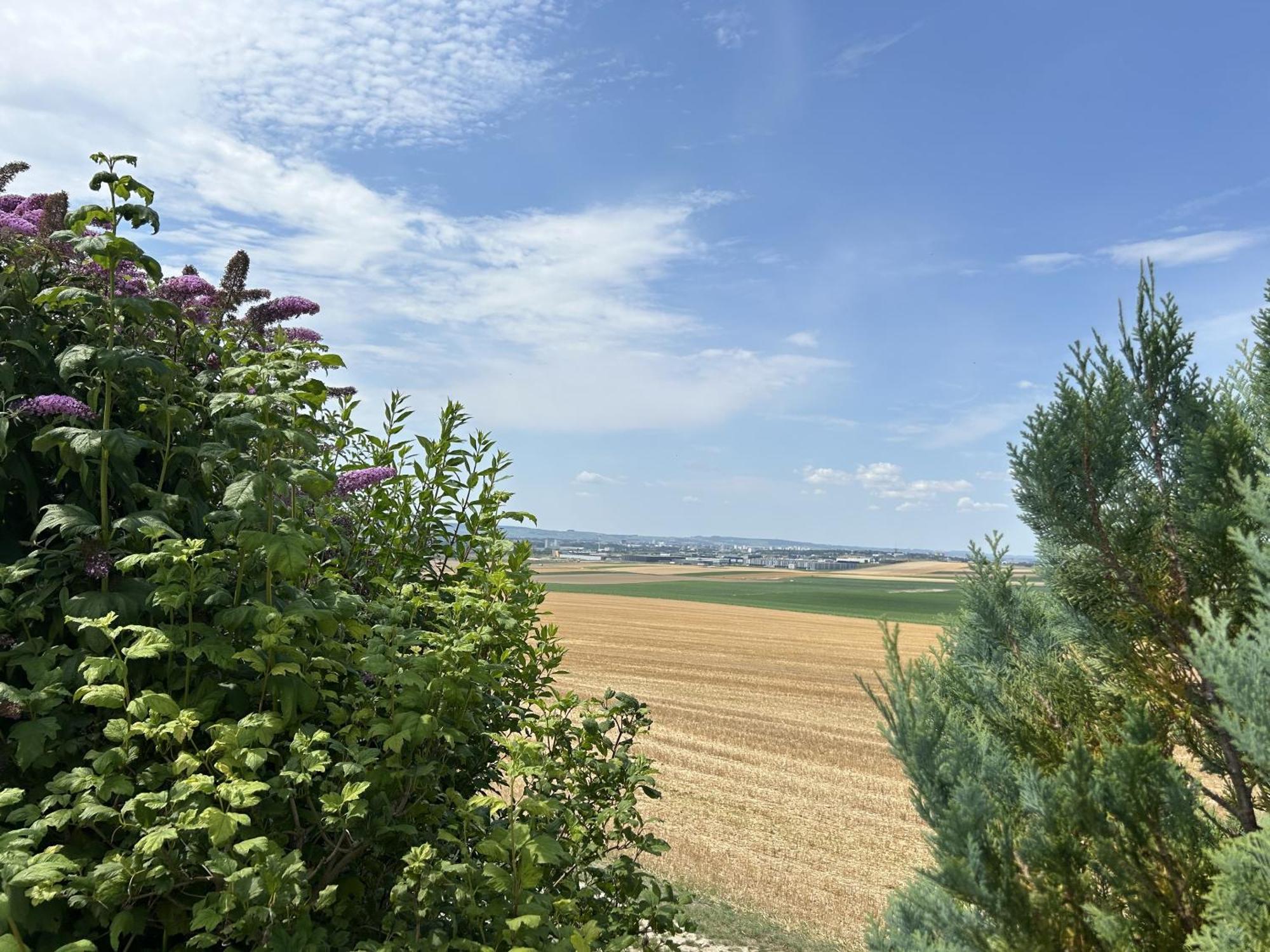 L'Intemporel Cernay-les-Reims ภายนอก รูปภาพ