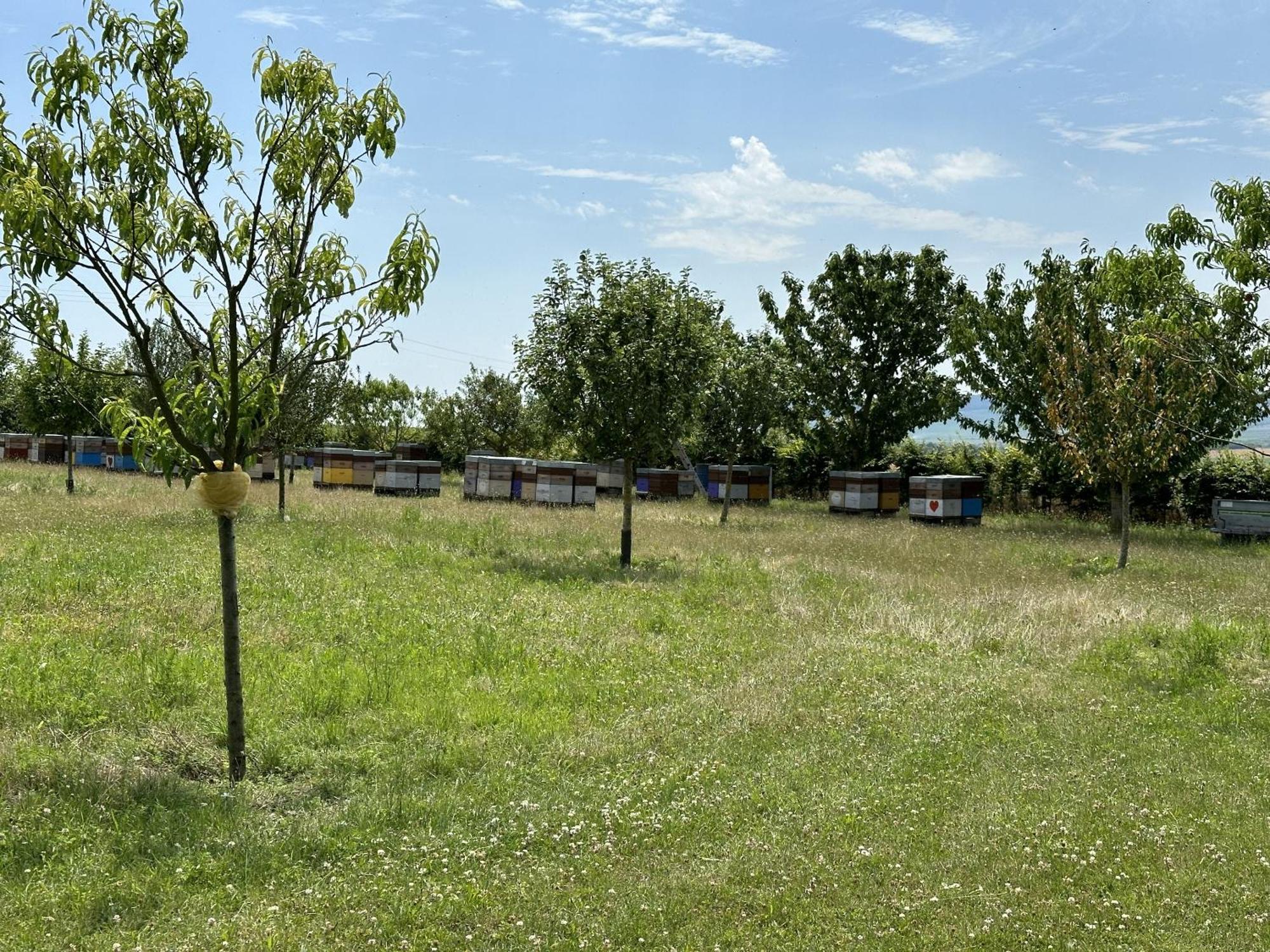 L'Intemporel Cernay-les-Reims ภายนอก รูปภาพ